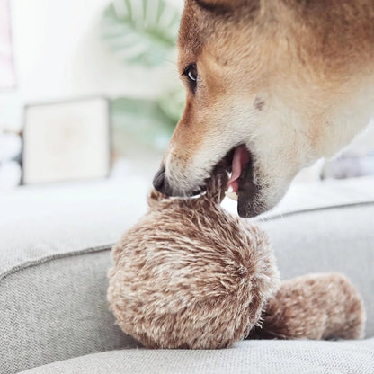 Squirrel Pop Enrichment Toy