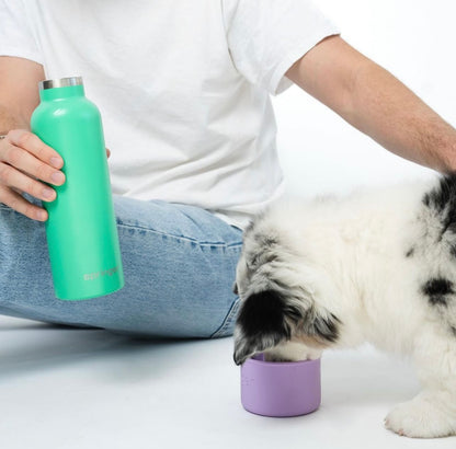 Dog & Me Water Bottle - Green / Lilac