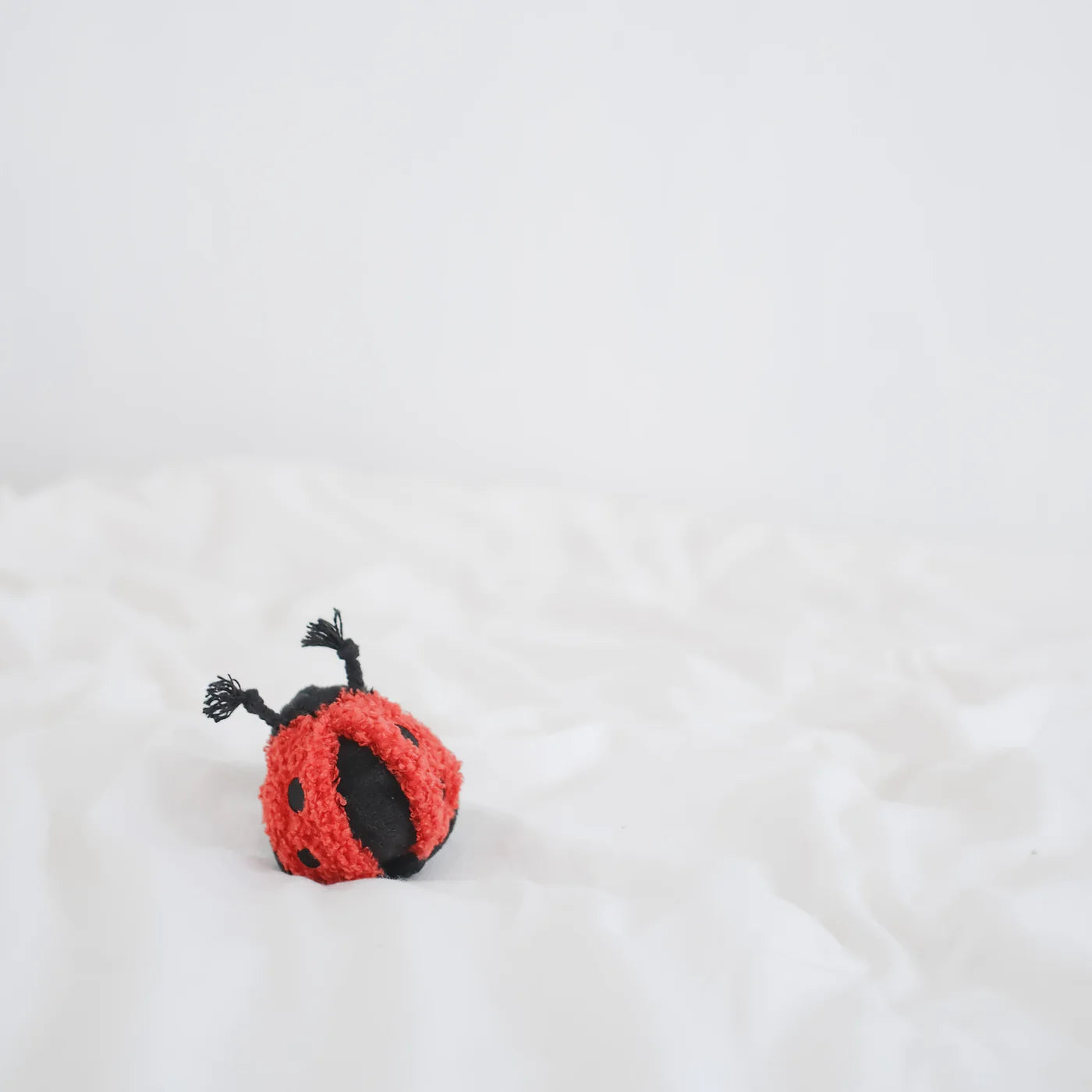 Ladybug Pop Enrichment / Snuffle Toy