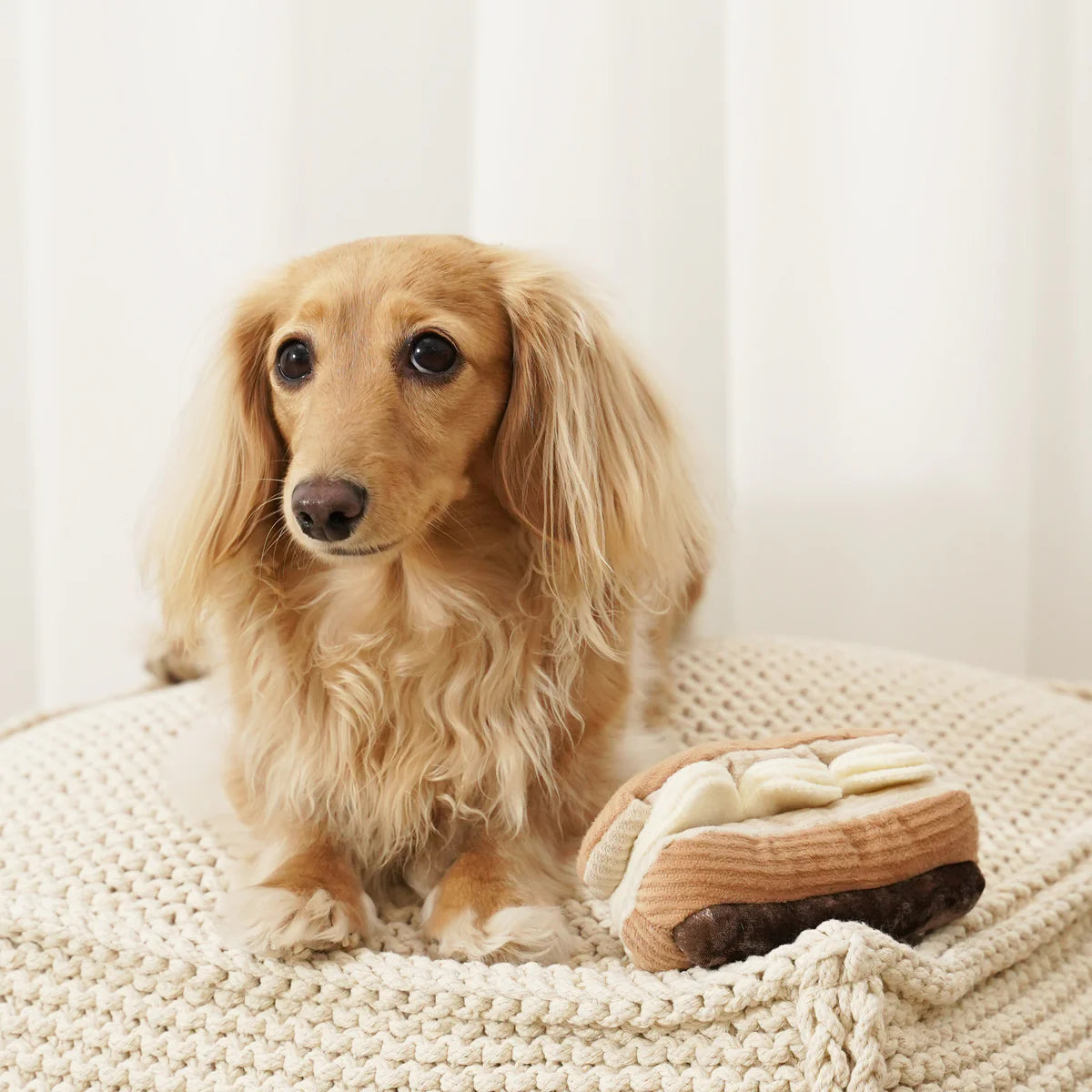 Eclair Enrichment Toy