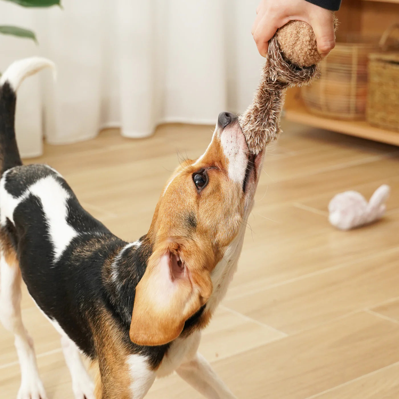 Squirrel Pop Enrichment Toy