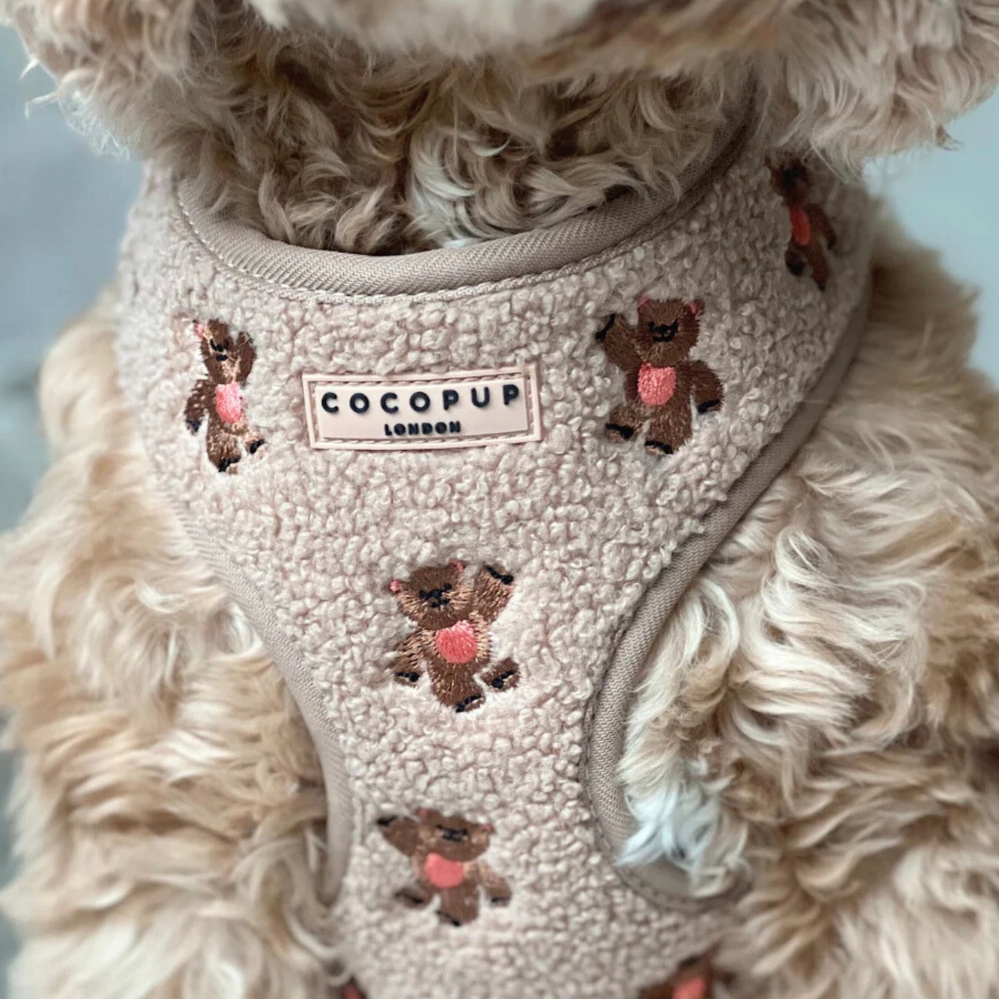 Adjustable Harness - Embroidered Teddy