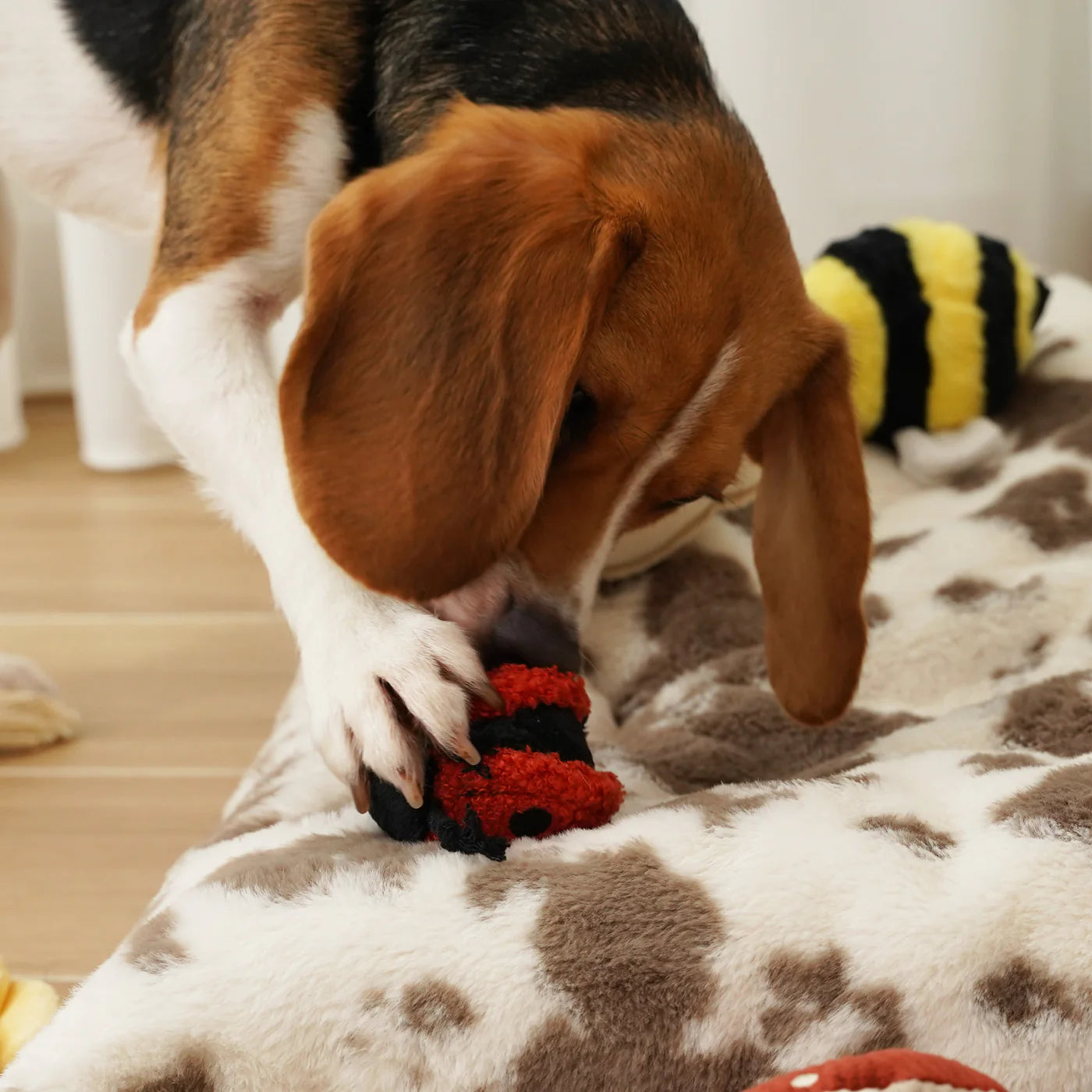 Ladybug Pop Enrichment / Snuffle Toy