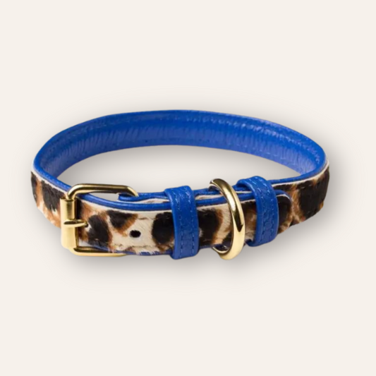 Leather Collar - Leo / Cobalt Blue