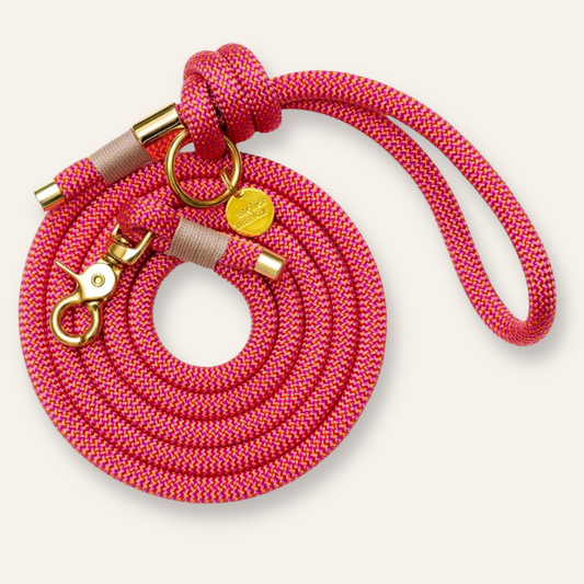 Hands-Free Rope Leash - Sunrise