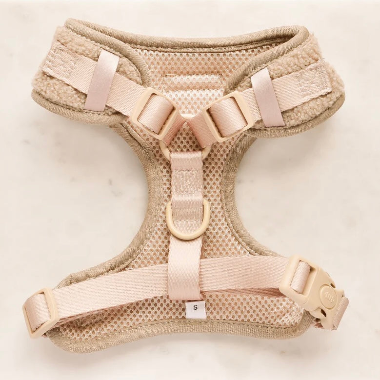 Adjustable Harness - Embroidered Teddy