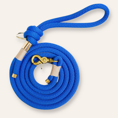 Rope Leash - Electric Blue