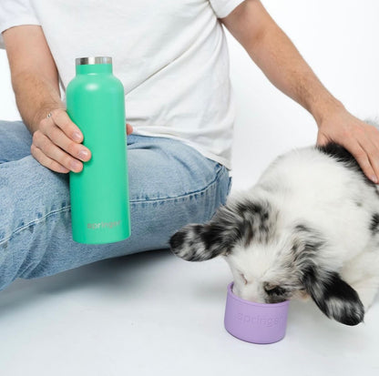 Dog & Me Water Bottle - Green / Lilac