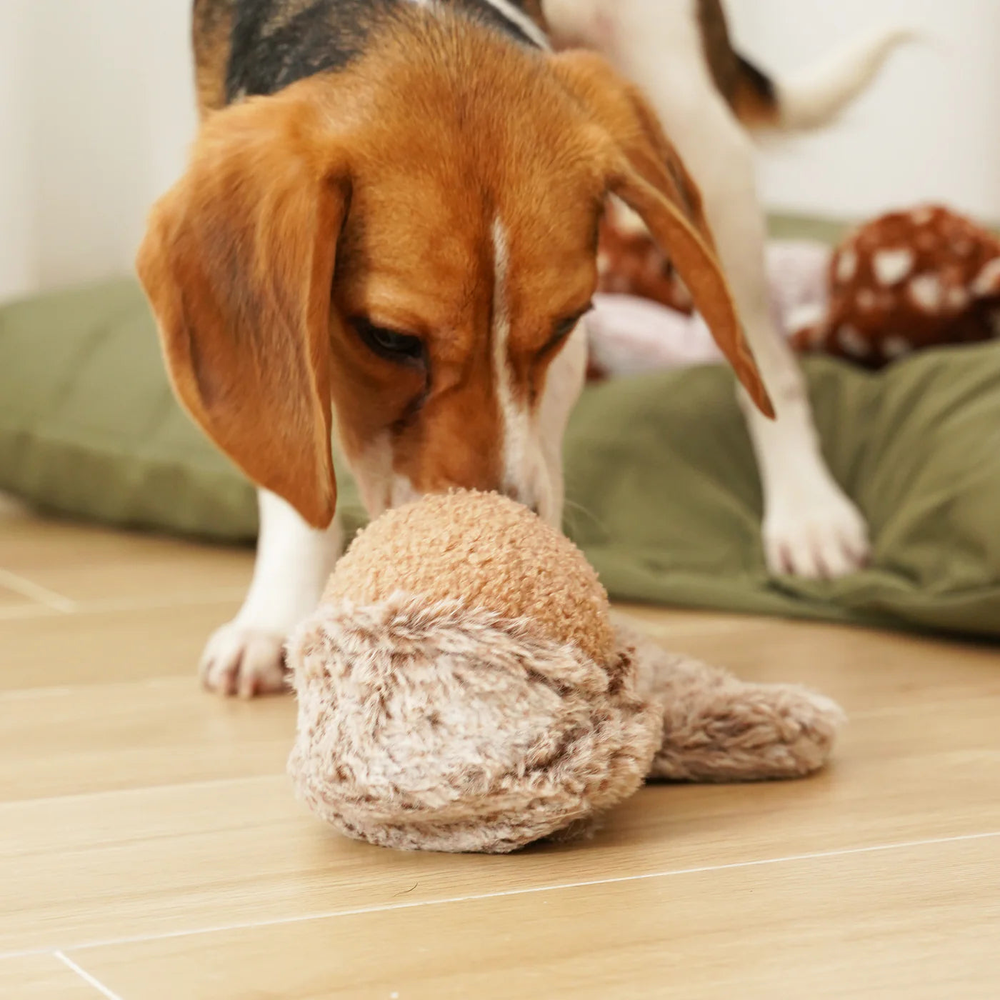 Squirrel Pop Enrichment Toy