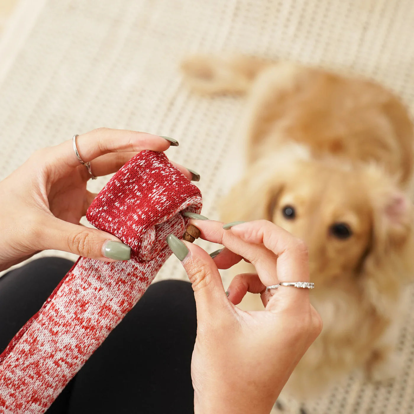 Lollipop Enrichment Toy