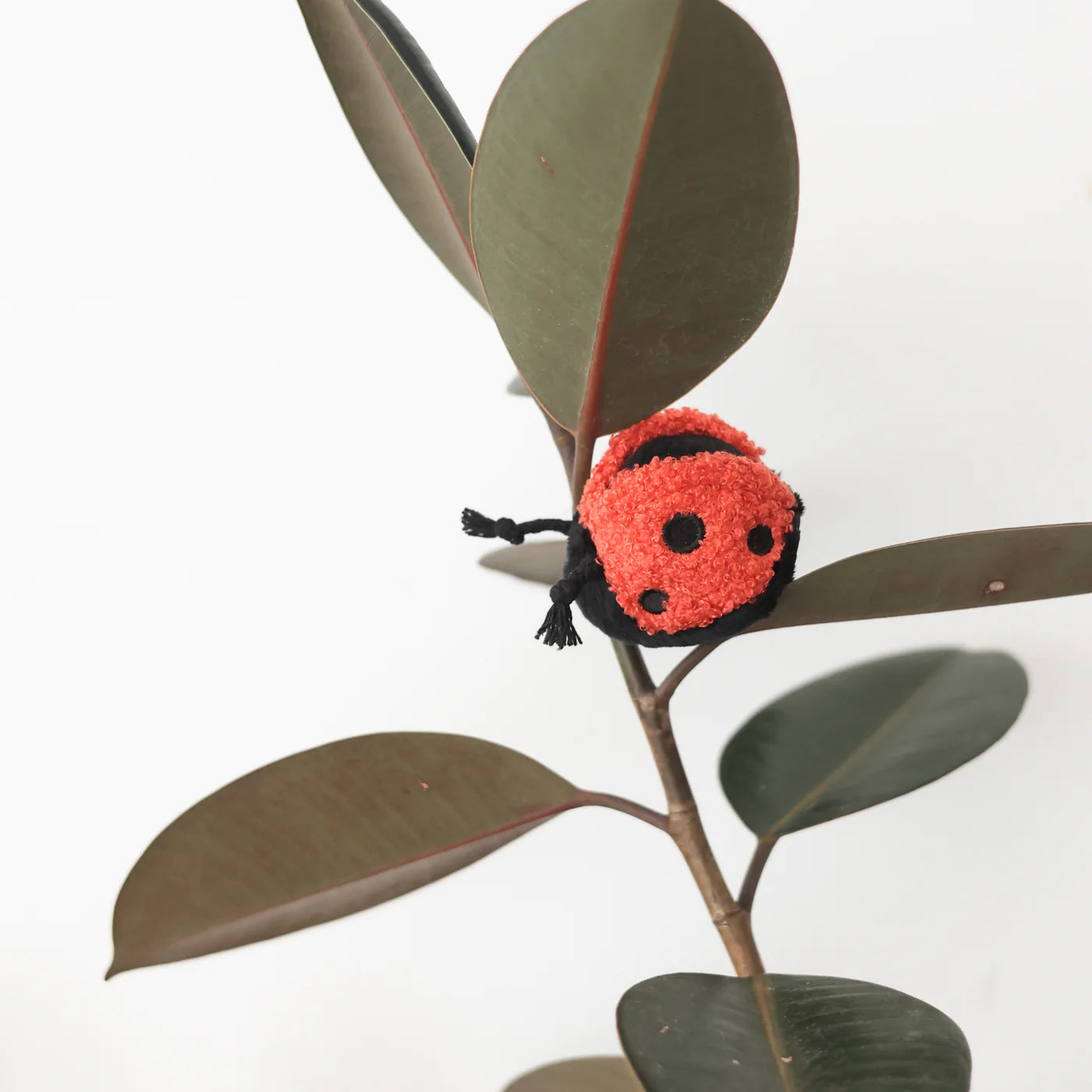 Ladybug Pop Enrichment / Snuffle Toy