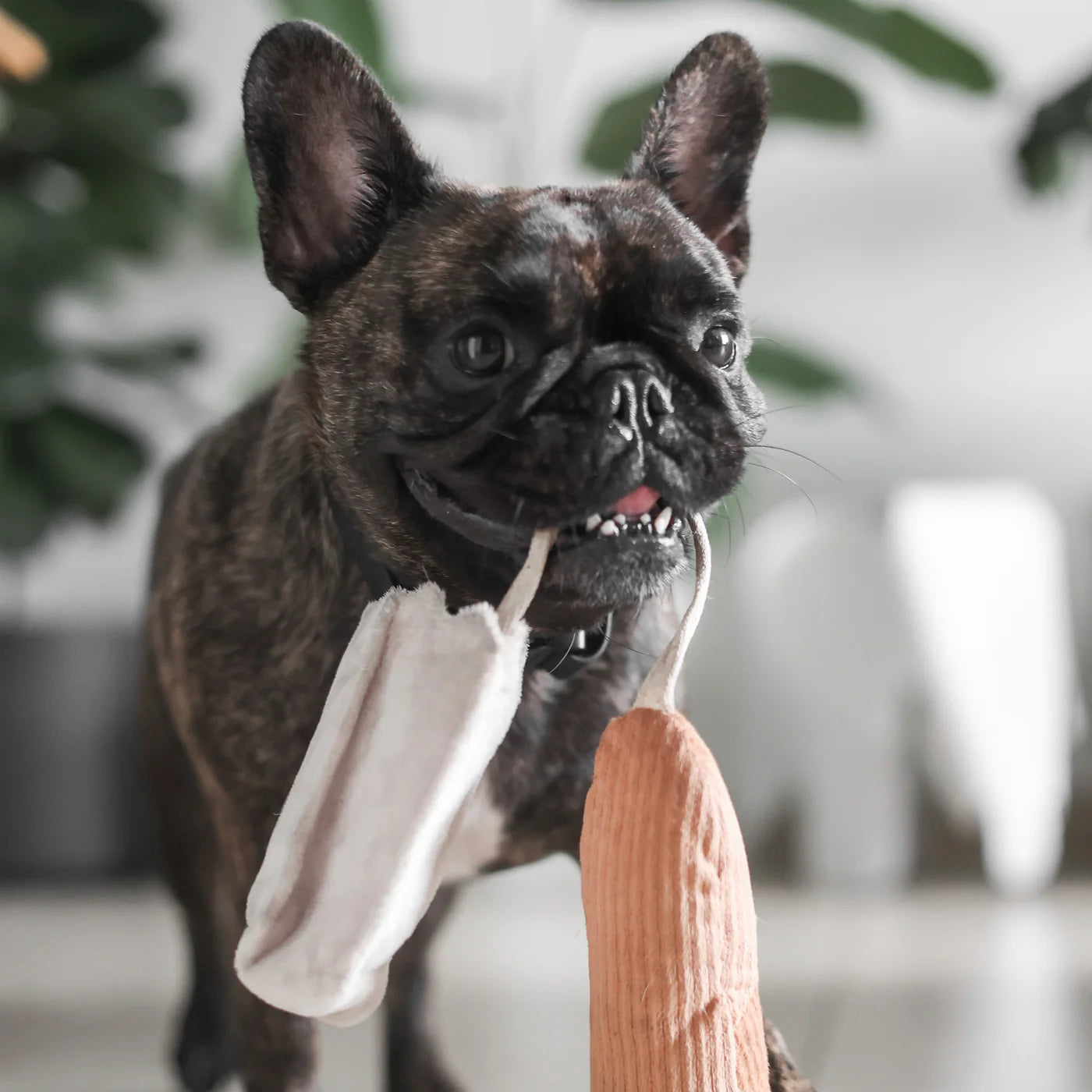 Mini Baguette Enrichment Toy