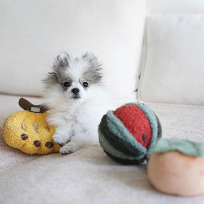 Watermelon Pop Enrichment Toy