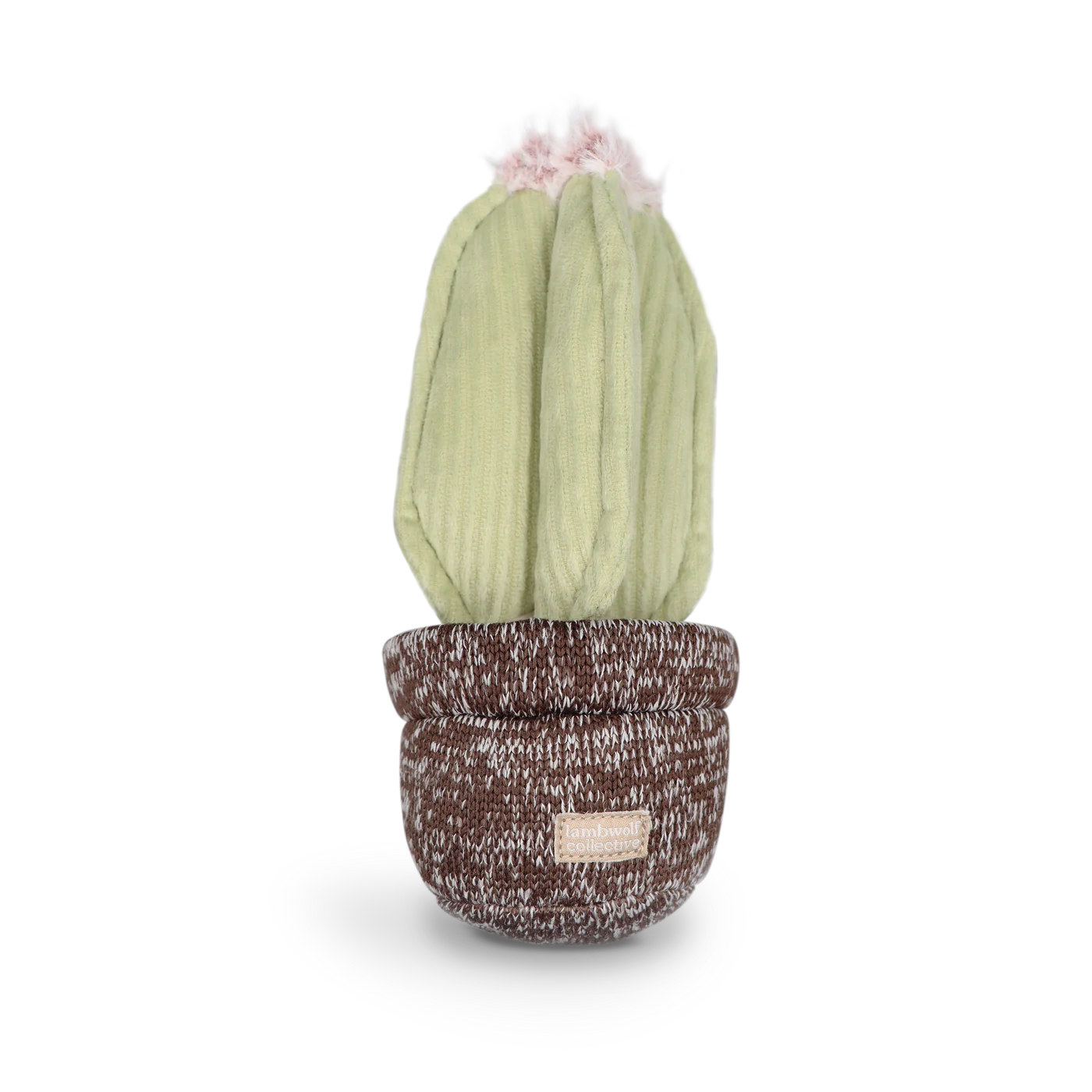 Cactus Enrichment Toy