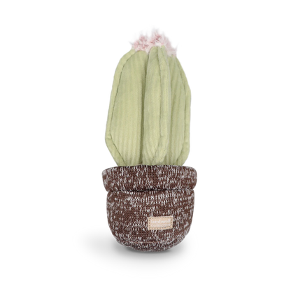 Cactus Enrichment Toy