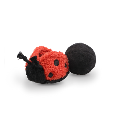 Ladybug Pop Enrichment / Snuffle Toy