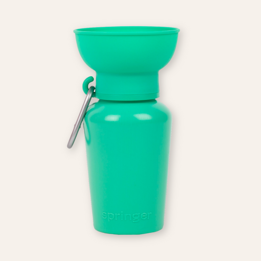 Flip Travel Water Bottle - Green