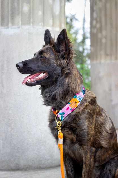 Rope Leash - Orange