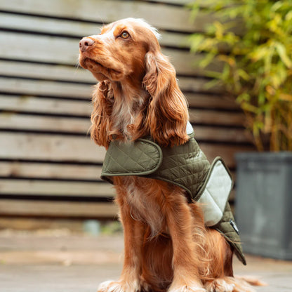 Quilted Coat - Khaki