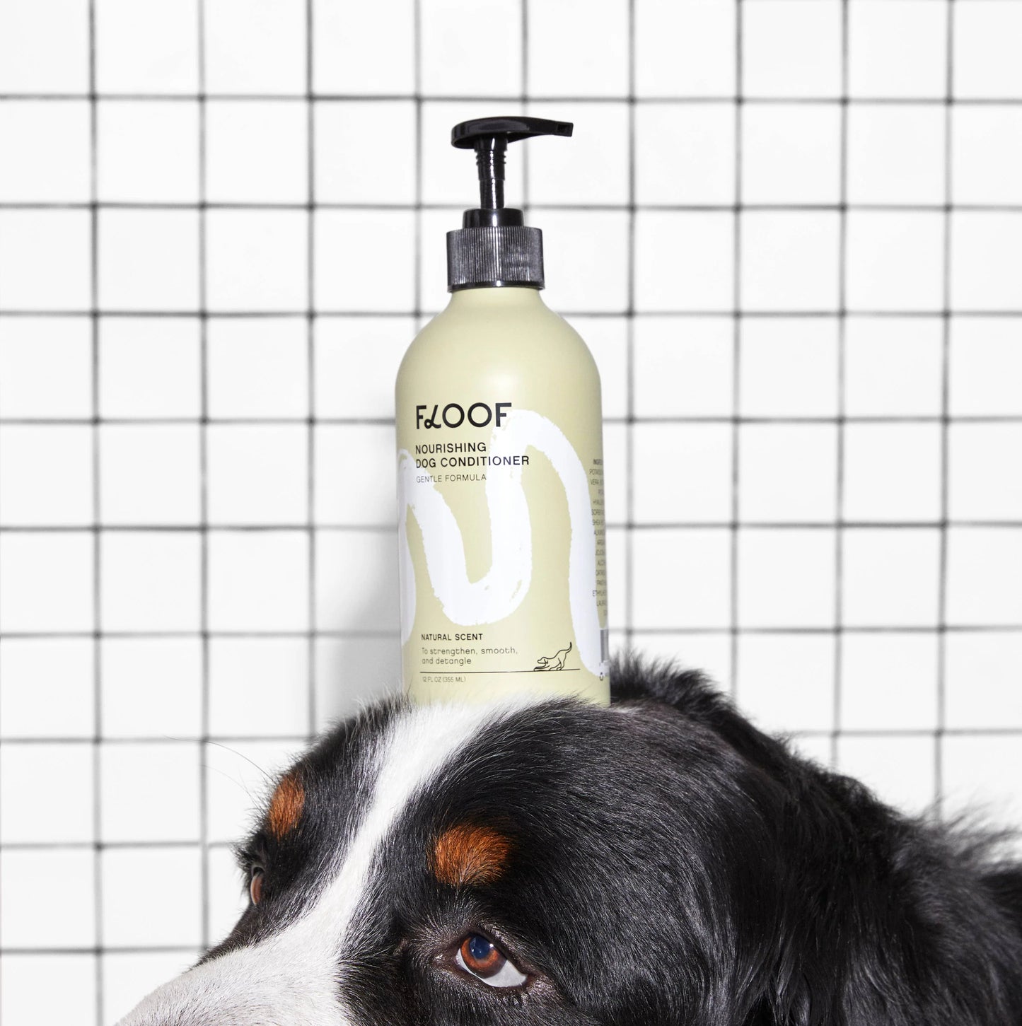 Dog Conditioner