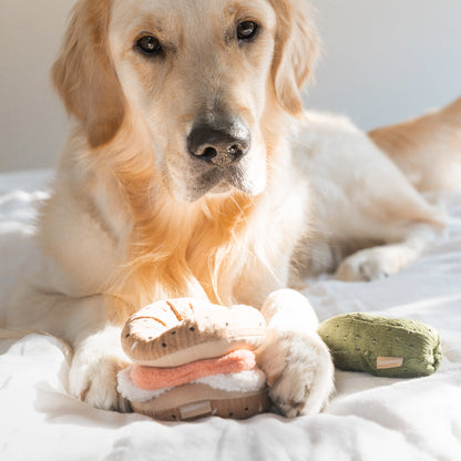 Bagel + Pickle Enrichment Toy