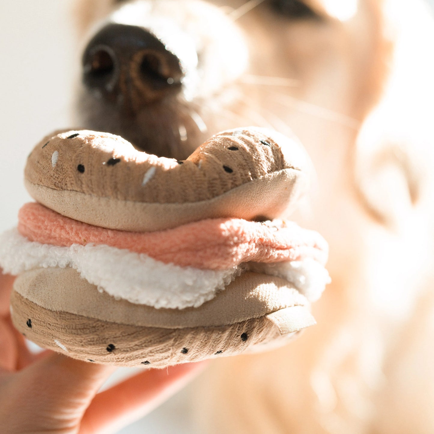 Bagel + Pickle Enrichment Toy