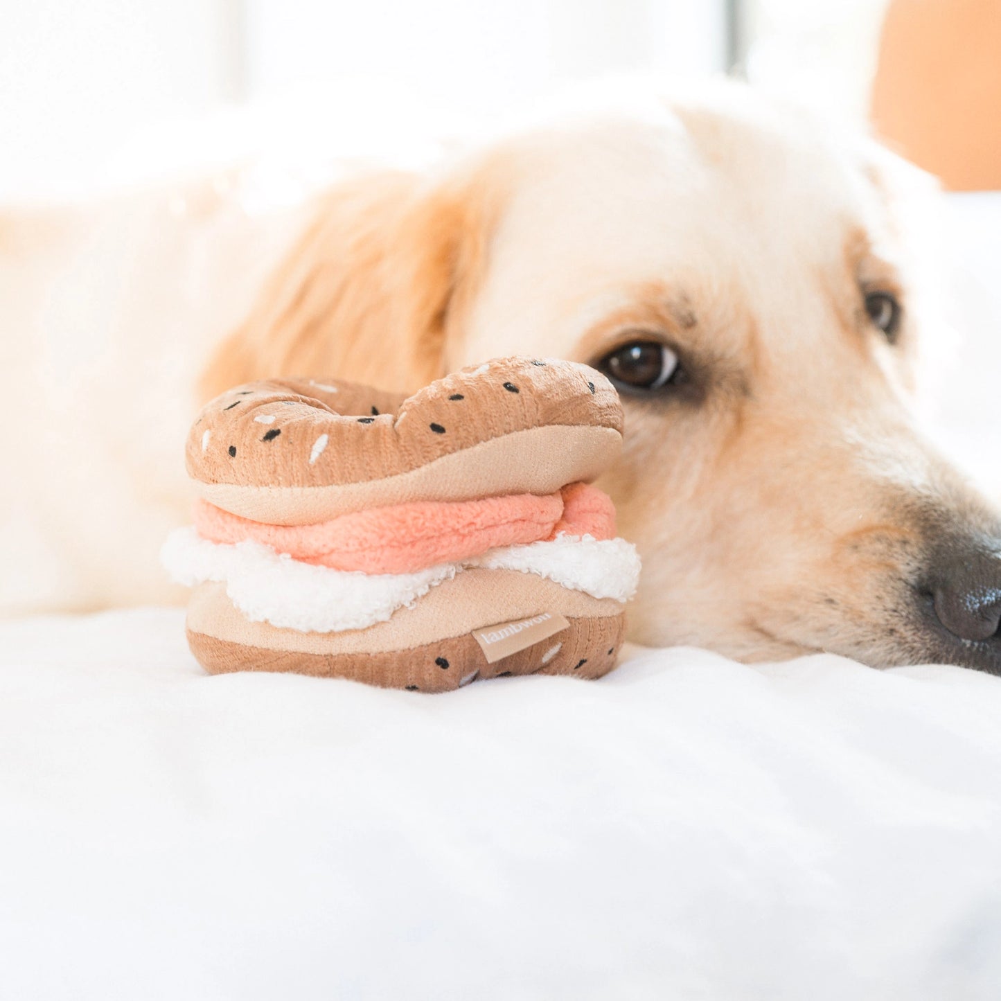 Bagel + Pickle Enrichment Toy