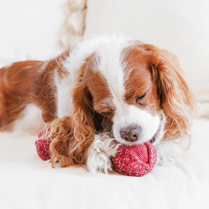 Cherry Pop Enrichment Toy