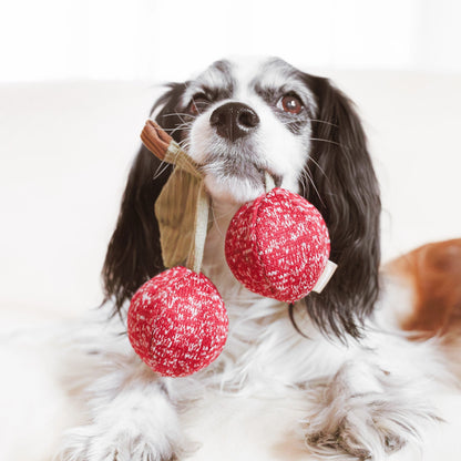 Cherry Pop Enrichment Toy