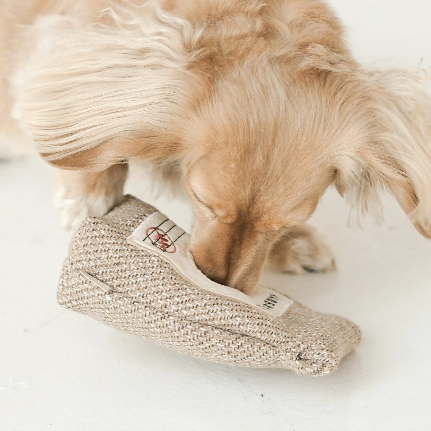 Coffee Beans Enrichment Toy