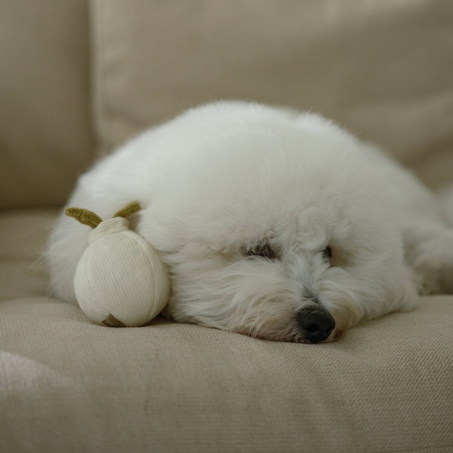 Garlic Pop Enrichment Toy