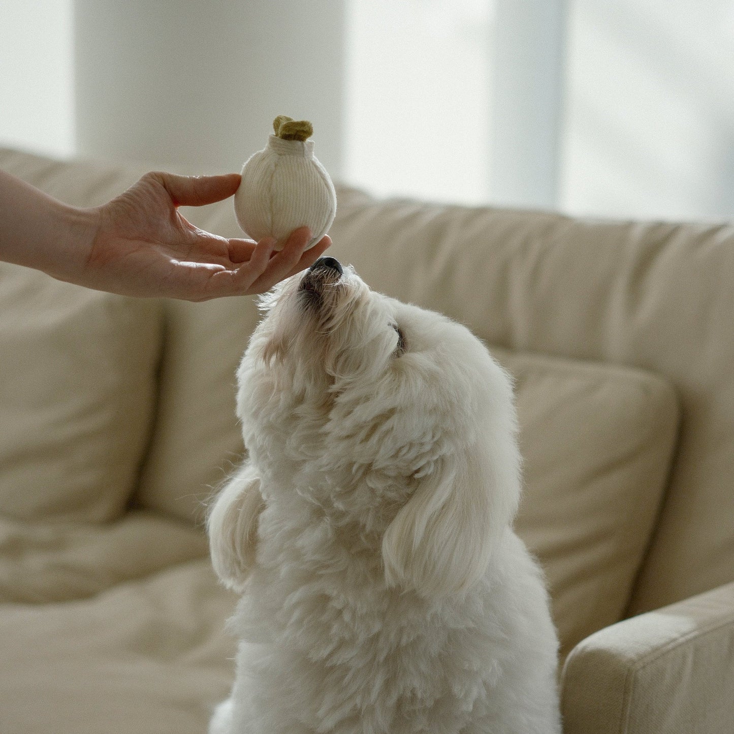 Garlic Pop Enrichment Toy