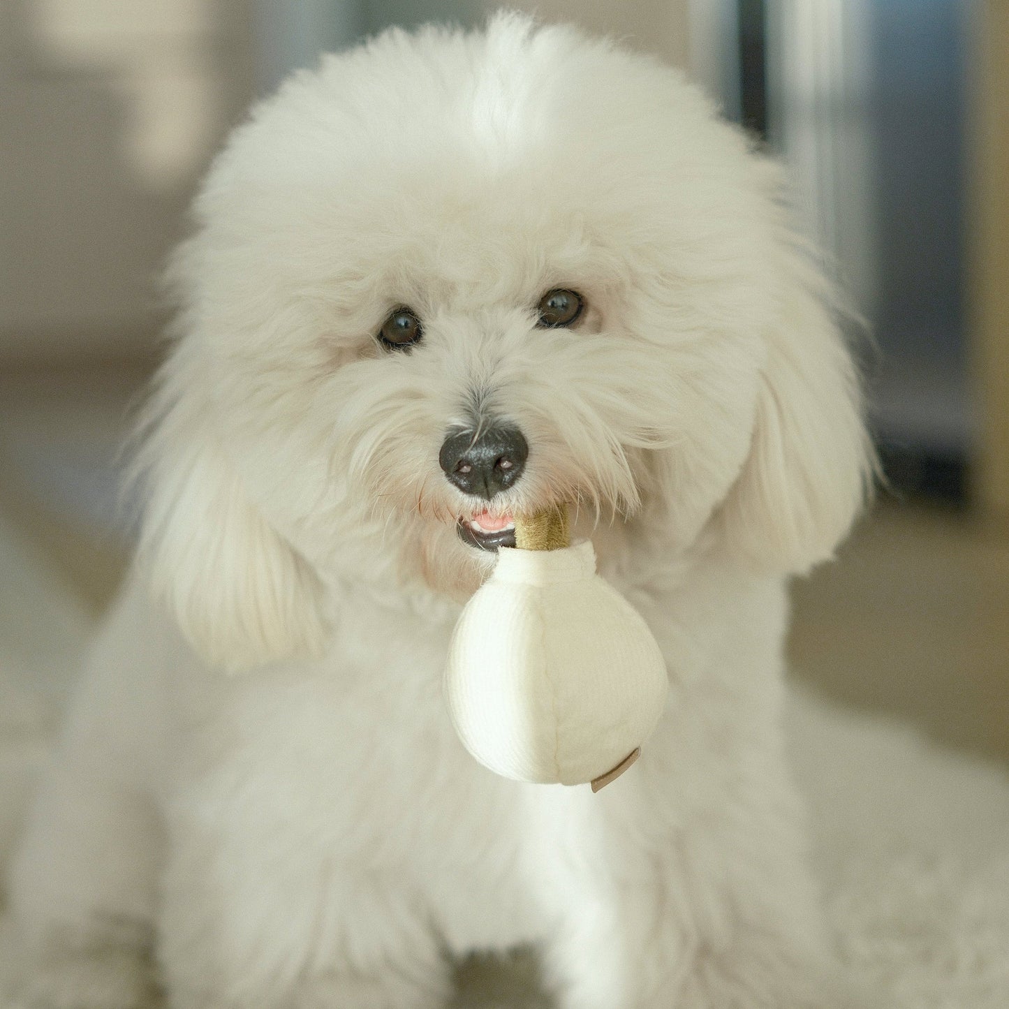 Garlic Pop Enrichment Toy