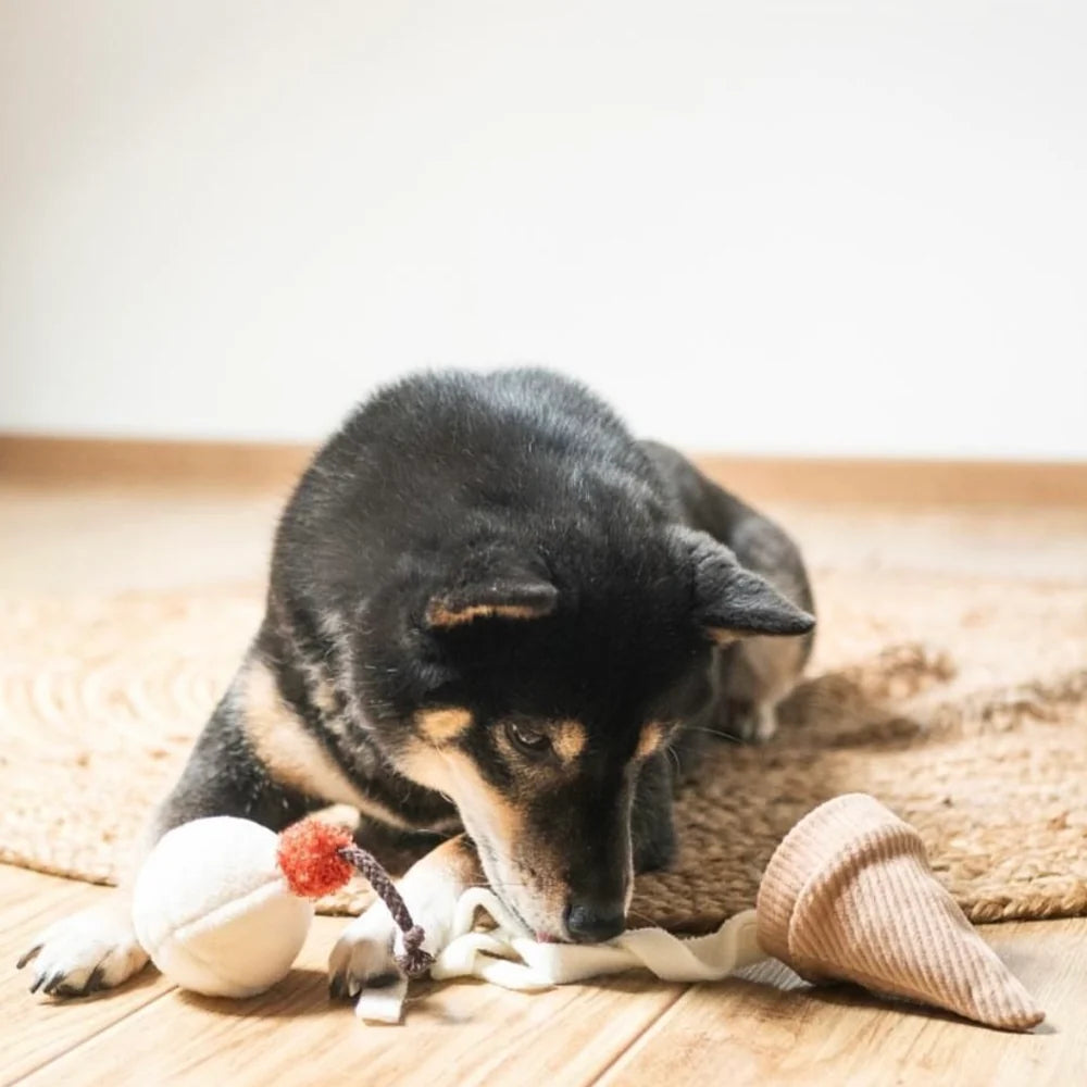 Ice Cream Pop Enrichment Toy