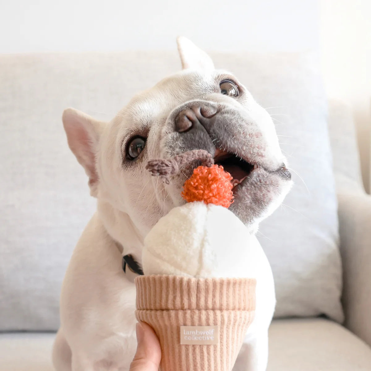 Ice Cream Pop Enrichment Toy