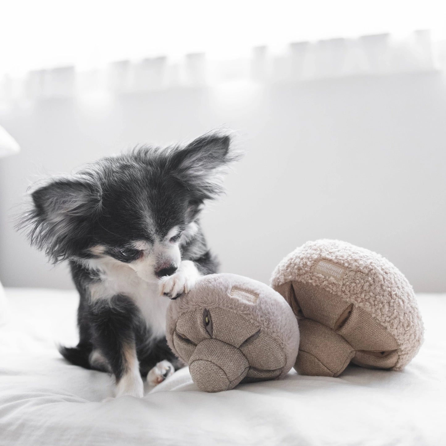 Mushroom Enrichment Toy - Oat