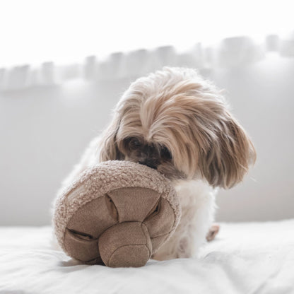 Mushroom Enrichment Toy - Oat