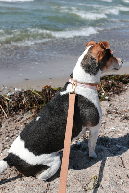 Collar - Light Brown / Powder