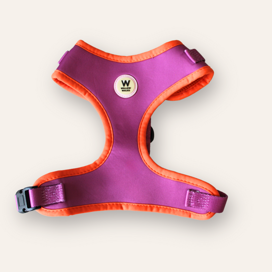 Adjustable Harness -  Fuchsia / Orange