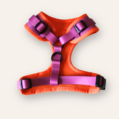 Adjustable Harness -  Fuchsia / Orange