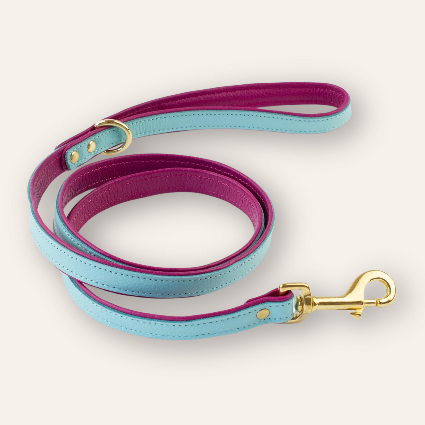 Leather Lead - Blue / Fuchsia